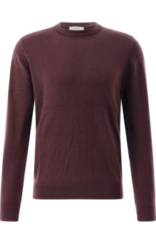 CONCEPT GREEN Jersey Pullover CG Dustin